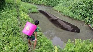 Catching fish in an abandoned pond, the orphan boy suddenly caught a lot of big fish