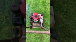 David Bradley push mower cuts ! Woooo