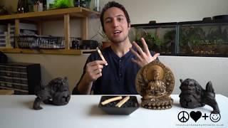 Step by Step Palosanto Tutorial: Quick Guide to Burning