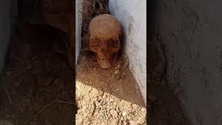 العثور على  جثه قديمة اثناء حفر أحد القبور،اللهم احسن عاقبتنا يارب #grave #scary #hororplace