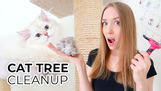 HOW TO CLEAN A CAT TREE NATURALLY STEP BY STEP Featuring: My British Longhair Cats Milo And Ava