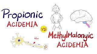 Propionic Acidemia vs. Methymalonic acidemia - Clinical Biochemistry & Genetics