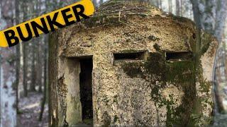 Versteckter Bunker im Wald: Ein überraschender Fund!