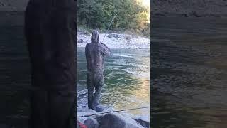 hooking up salmon, Niagara whirlpool 2022