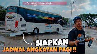 RUTE MALANG JAKARTA BERGEJOLAK !!! BUS SINAR JAYA SEGERA BUKA JADWAL ANGKATAN PAGI