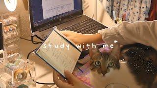 STUDY WITH ME  1hr real time (piano bgm & fireplace) ʕ •ᴥ•ʔ