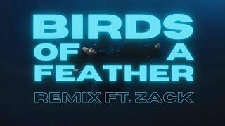 BIRDS OF A FEATHER (remix) ft. ZACK