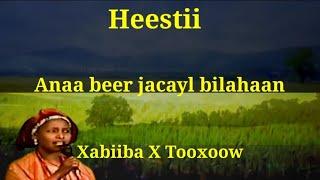 Heesta Beer Jacayl Lyrics Xabiiba Xasan Tooxoow