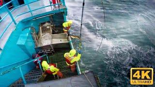 Life On US's Largest Longline Fishing Vessel | Fishing On the High Seas