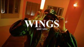 Dancehall Riddim Instrumental 2024 "Wings" prod. Izzy Liya