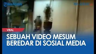 Sebuah Video Mesum Beredar Di Sosial Media