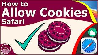 How to Allow Cookies in Safari [macOS Big Sur]