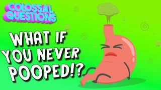 What Would Happen If You Never Pooped? | COLOSSAL QUESTIONS