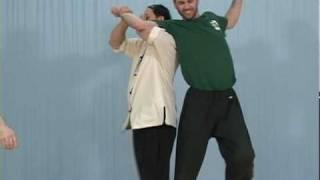 Advanced Practical Chin Na by Dr. Yang, Jwing-Ming