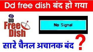  Dd free dish big problem all channels off and no signal on all channels.?