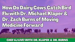 How Do Dairy Cows Catch Bird Flu with Dr. Michael Klaper & Dr. Zach Burns of Moving Medicine Forward