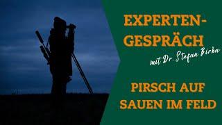 Wildschäden im Mais verhindern: Mit diesen Tipps pirscht Du erfolgreich auf Wildschweine