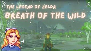 Breath of the Wild – A Cozy New Adventure - Finding the Korok Forrest and Hestu!