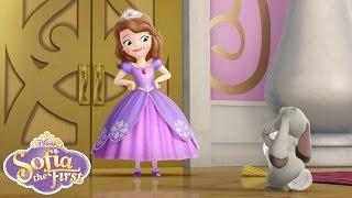 Sofia the First Theme Song | @disneyjr