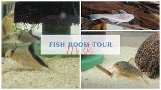 Fish Room Tour February 2023(Fish Apartment)