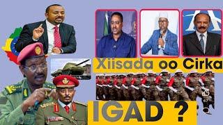 DAG_ IGAD OO LOO MARAYO SOMALIYA GUULIHII UGU WAYNAA OO AY GAADHAY SOMALIYA TOP NEWS