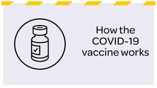 How the COVID-19 vaccine works