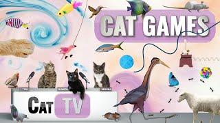 CAT Games | Ultimate Cat TV Compilation Vol 52 | 2 HOURS 