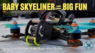 Rotor Riot Skylite: 1-year review