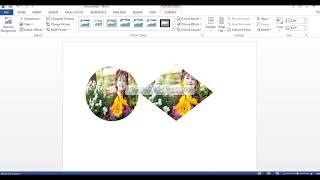 How to crop an image in word to circle