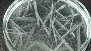 Fast Crystallization Experiment