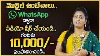 Earning Money From WhatsApp, Facebook and Instagram | Make Money by Sharing Videos || Money Wallet