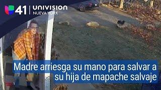 Madre arriesga su mano por defender a su hija de un mapache en CT