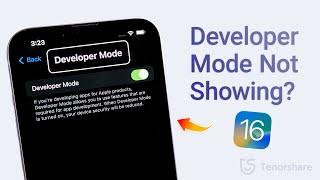 iOS 18/17/16 Developer Mode Not Showing on iPhone? 1 Click to Enable It!