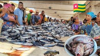 The cheapest and the biggest fish market in Togo. Nouveau port de pêche Lomé Togo West Africa 