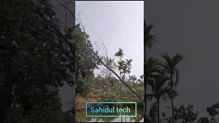 cutting trees #like #funny #sahidul #comedy #shortvideo