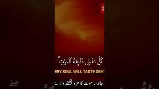 ##dawat e tawheed##  ##subhanallah## ##viralislmicvideos