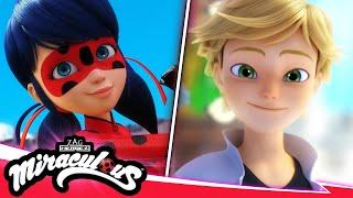 MIRACULOUS |  PERFECTION  | SEASON 5 | Tales of Ladybug & Cat Noir