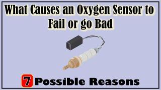 What Causes An Oxygen Sensor To Fail Or Go Bad: 7 Reasons - Easy Car Electrics