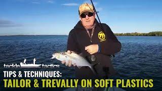 How to Catch Tailor and Trevally on Soft Plastics - Fish the ZMan 3" MinnowZ