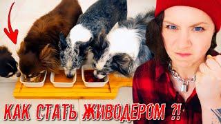 Пробую 0ТРАВИТЬ своих Собак и Кошку! Опасный Эксперимент с Питомцами и Едой