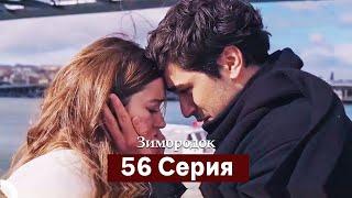 Зимородок 56 Cерия (Русский дубляж)