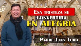 ¿Cómo enfrentar la muerte de un ser querido? ¿Es el fin? | PADRE LUIS TORO