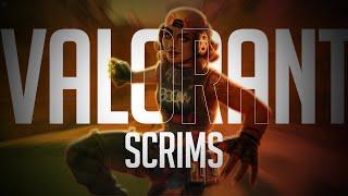 Valorant Scrims Live | Rogue Scrims| Low Rank Scrims|!join