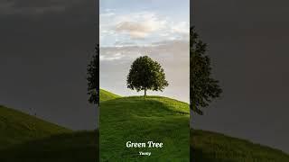 Green Tree #lofi #music