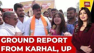 UP Bypolls LIVE: What's The Mood Of Karhal Seat? | Ground Report By Nabila Jamal | India Today LIVE