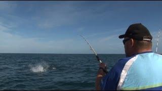 BLUEFIN TUNA STICKBAIT EXPLOSIONS - YouFishTV Australia