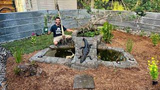 CLEANING POND + LANDSCAPING the NEW GATOR Enclosure! Pt. 2