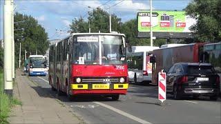 Autobusy na linii Open'er Festival 2024 Ikarus, Jelcz, MAN, SU12/15/18, Setra, Scania, VDL, Mercedes