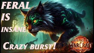 FERAL IS A MONSTER! BIG DMG LOTS OF KILLS! - Feral druid pvp the war within 11.0.7