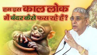 हम इस काल लोक में बंदर कैसे फस रहे हैं?kabir Parmeswar ji।।